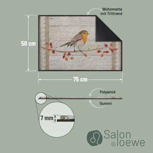 Salonloewe Twiggy Eingangsmatte 50 x 75 cm 8 B09YLZ83GFPT03 de DE