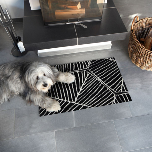 Salonloewe Anders black-white Eingangsmatte 45 x 70 cm