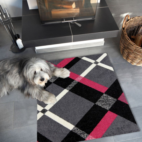 Alfombra Salonloewe Bente gris-magenta 75 x 100 cm