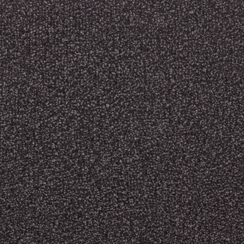 Basic Fußmatte mit Standard Schmutz- und Feuchtigkeitsaufnahme für Innen & Außen (überdacht) - Graphit - 40 x 60 cm