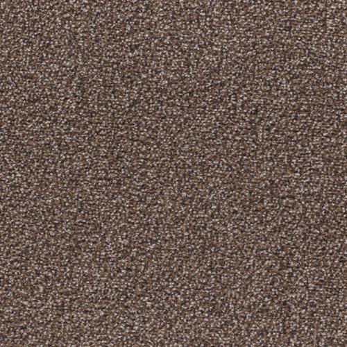 Basic Fußmatte mit Standard Schmutz- und Feuchtigkeitsaufnahme für Innen & Außen (überdacht) - Braun - 40 x 60 cm