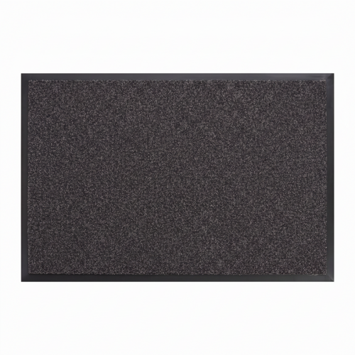 Paillasson basique avec absorption standard de la saleté et de l'humidité pour intérieur et extérieur (couvert) Graphite 40 x 60 cm