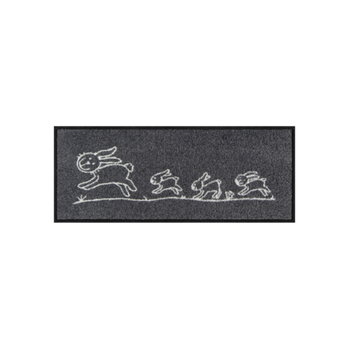 Salonloewe Hereingehoppelt Mini mat 30 x 75 cm