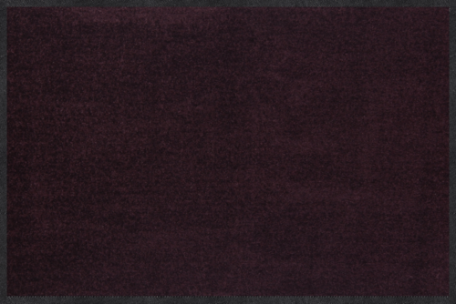 Salonloewe Pflaume zerbino da ingresso 40 x 60 cm